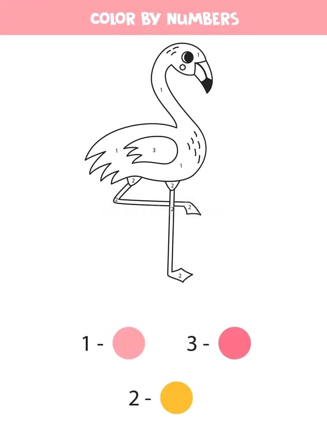 Adorable Flamingo Color By Number