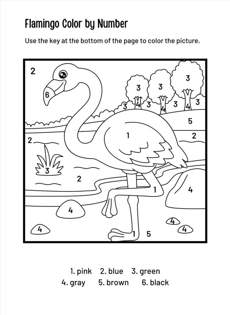 Happy Flamingo Color By Number