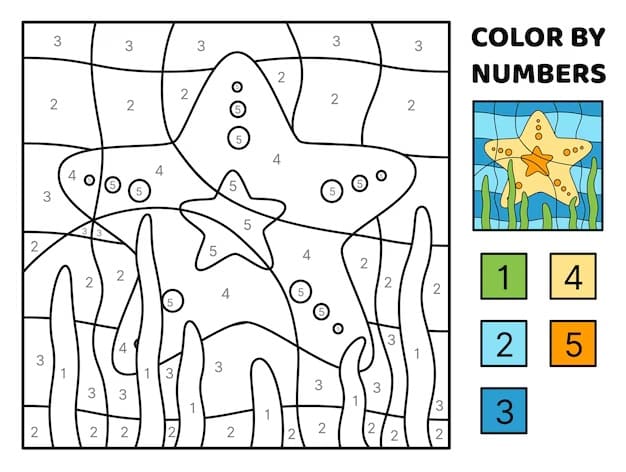 Simple Starfish Color By Number