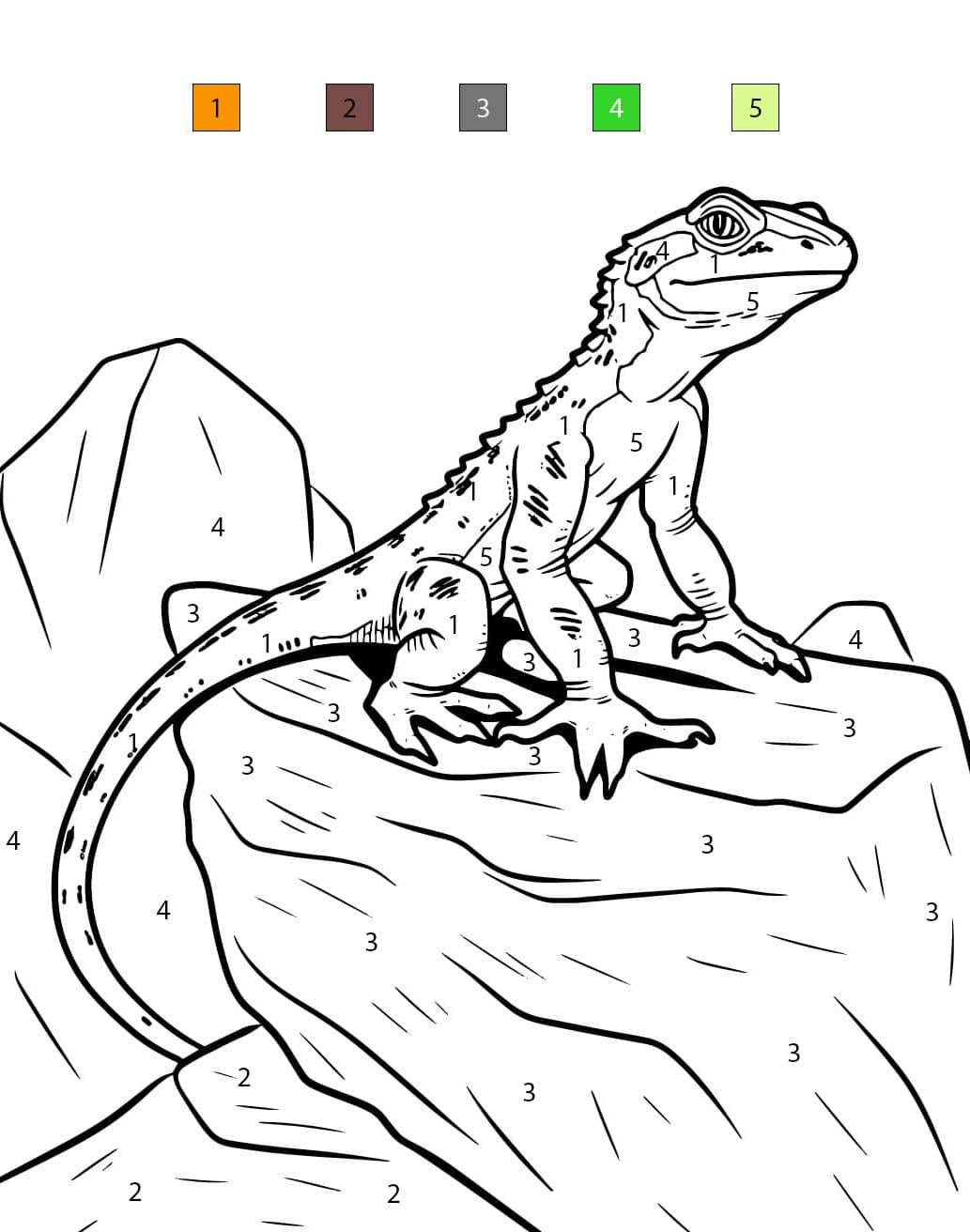 Lizard Amazinge Color By Number