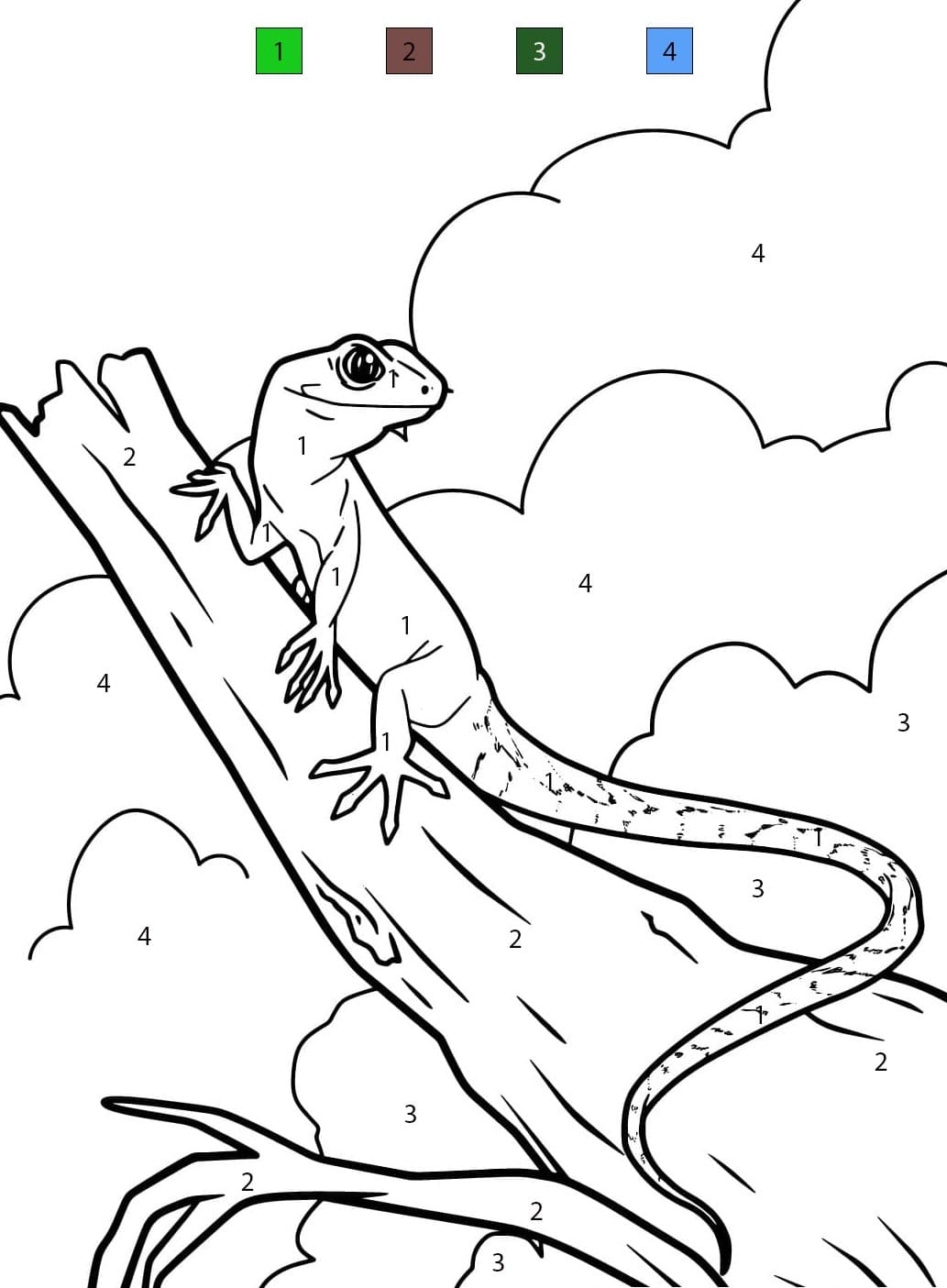 Lizard Cutee Color By Number