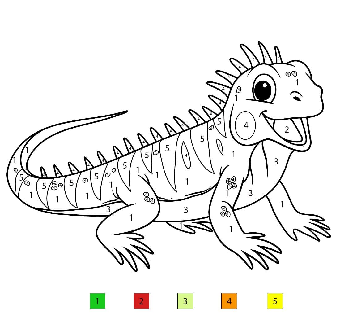 Lizard For Kidse Color By Number