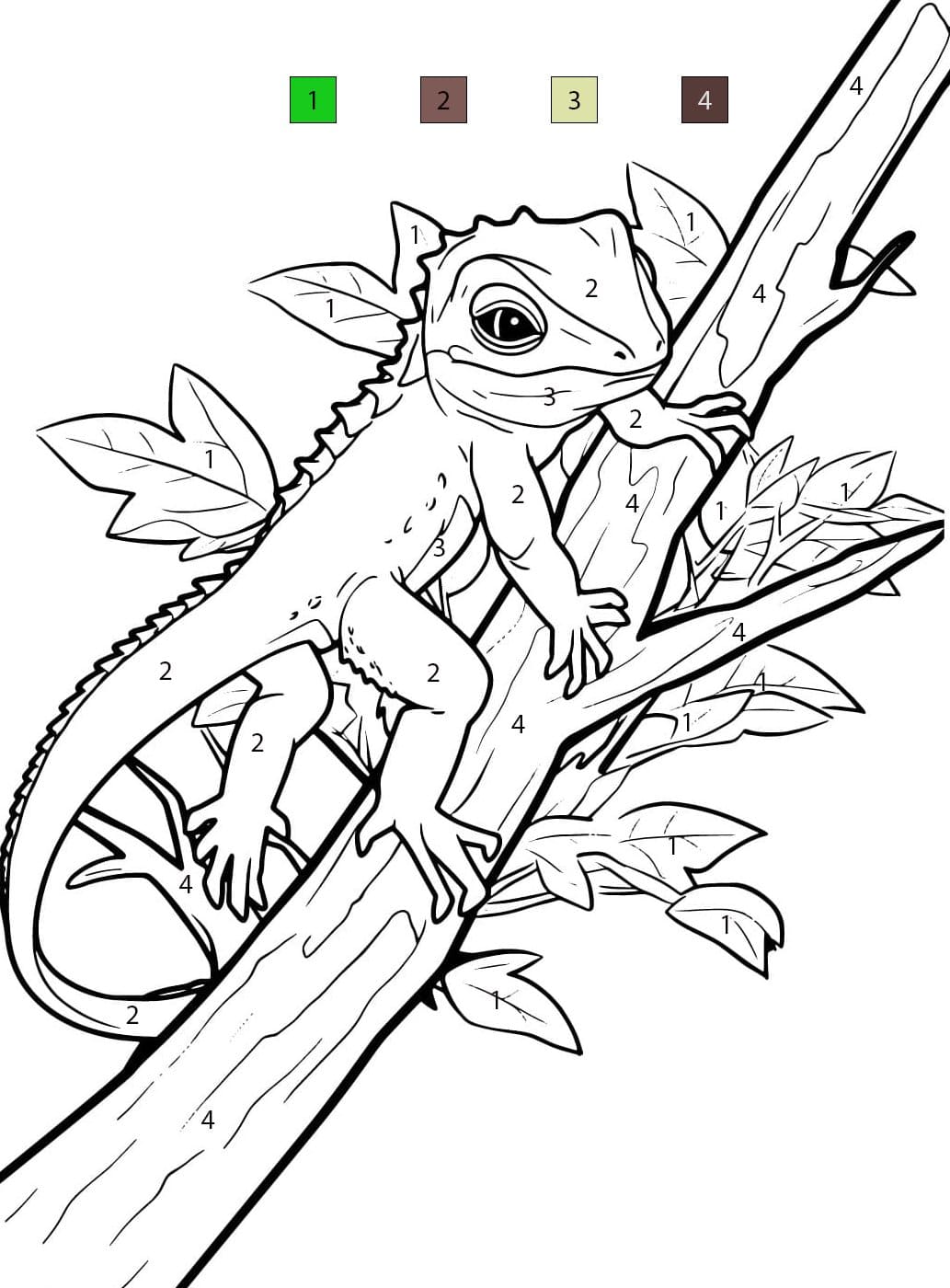 Lizard Free Printablee Color By Number