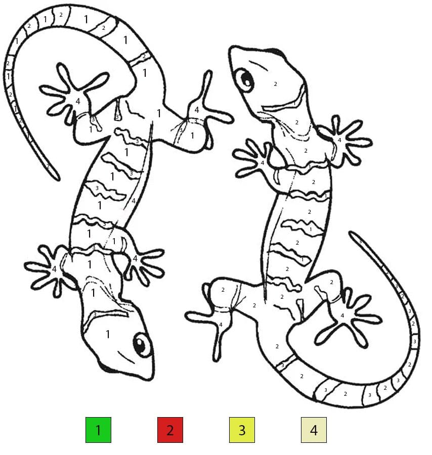Lizard Freee Color By Number