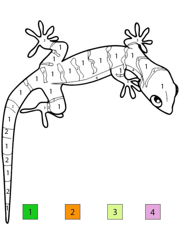 Lizard Imagee Color By Number