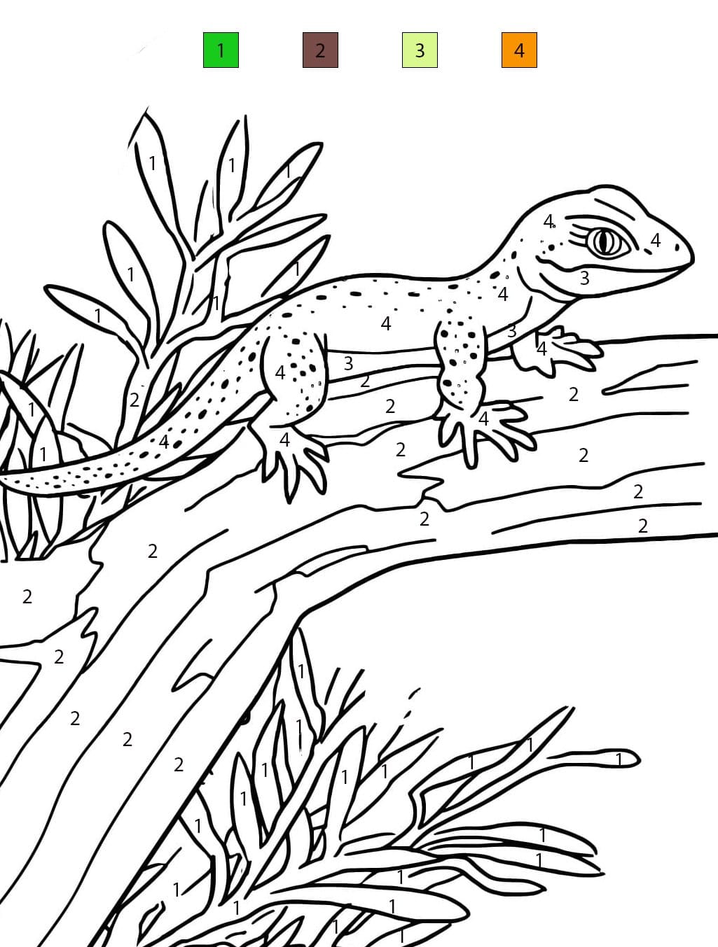 Lizard Nicee Color By Number