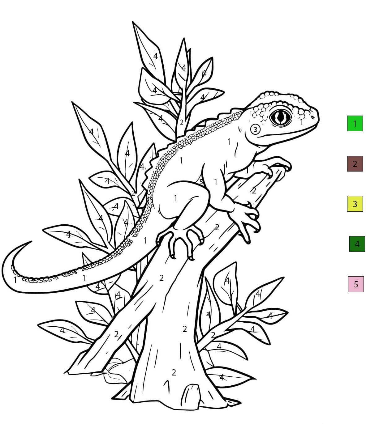 Lizard Normale Color By Number
