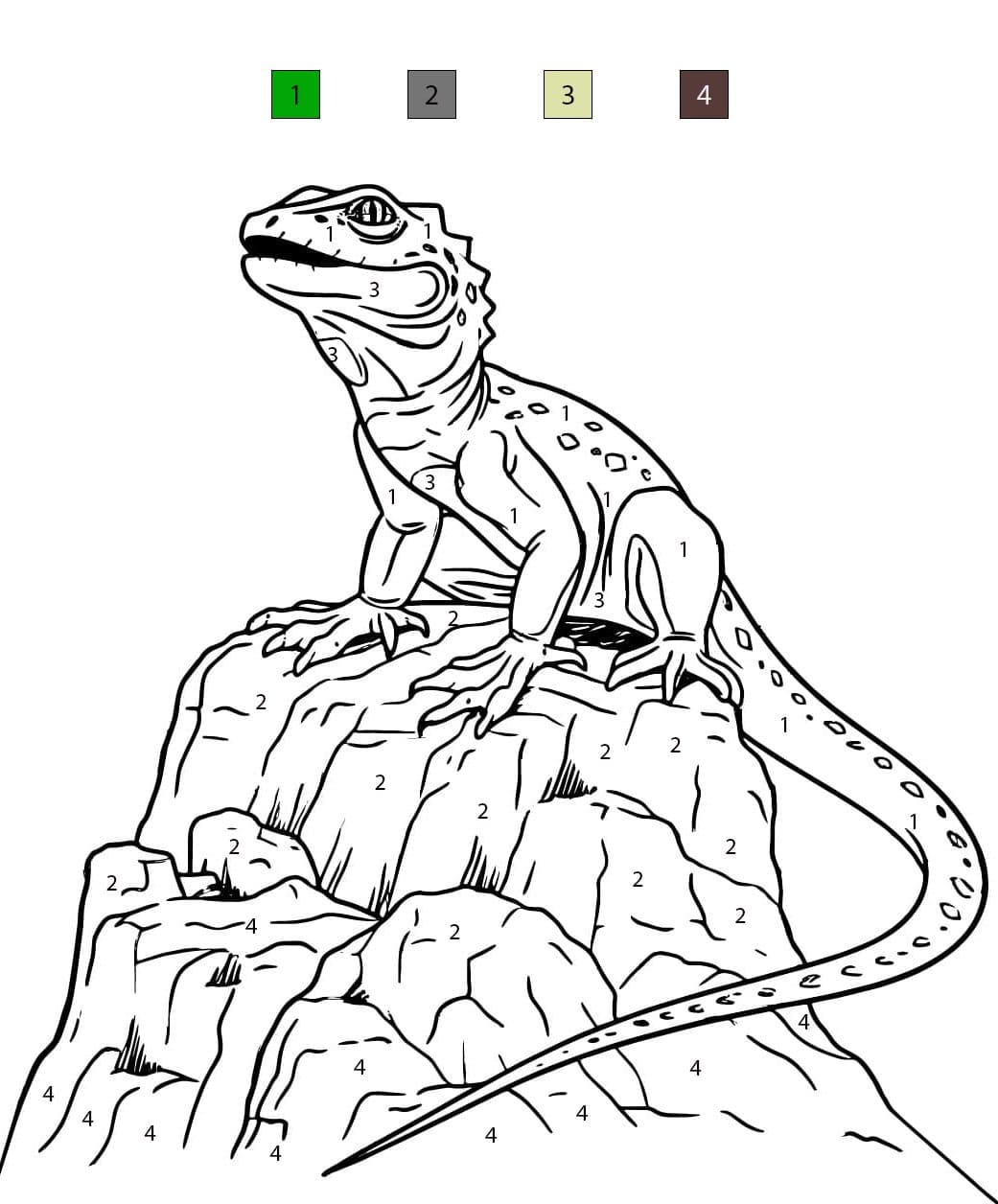 Lizard On Stonee Color By Number
