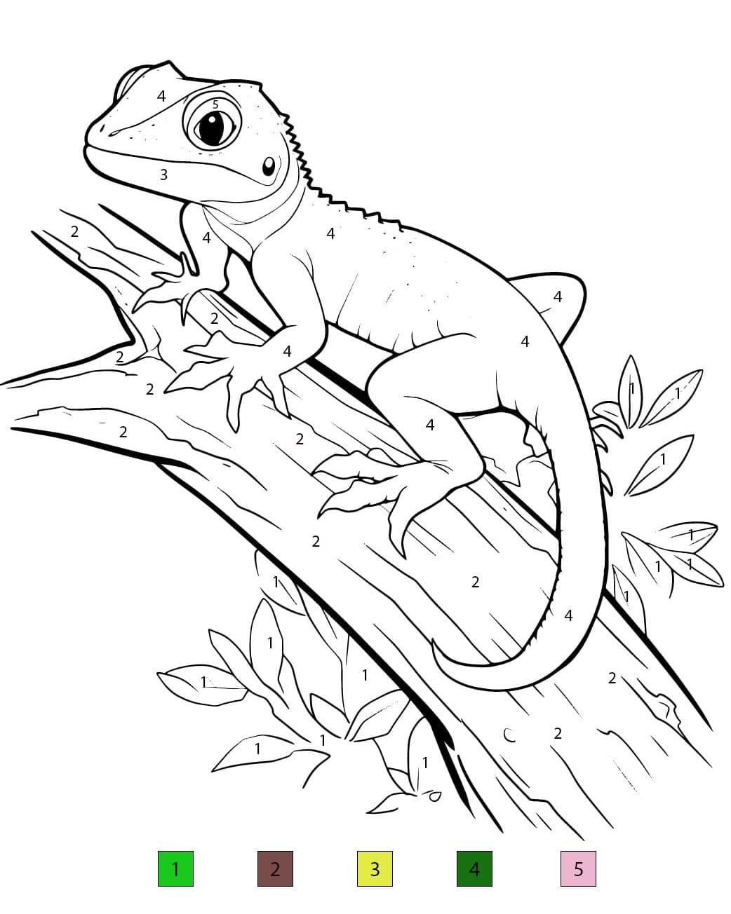 Lizard Color By Number