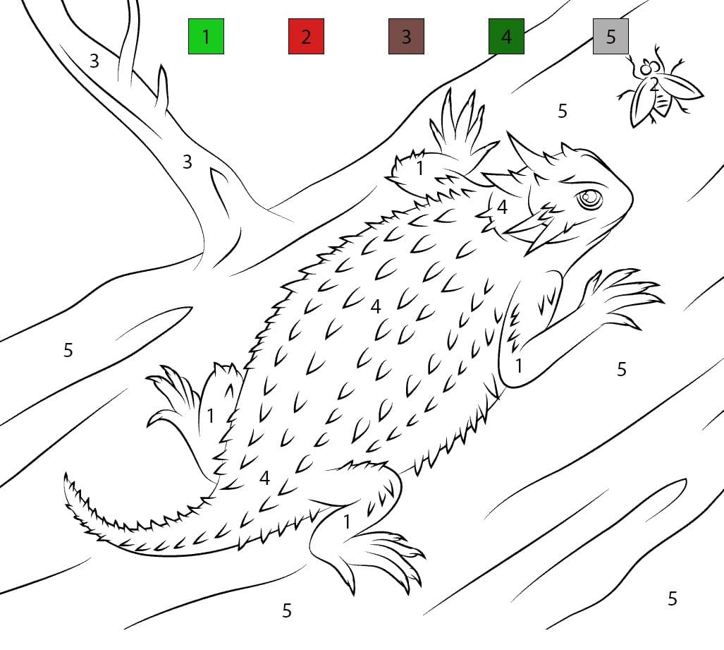 Lizard Printablee Color By Number
