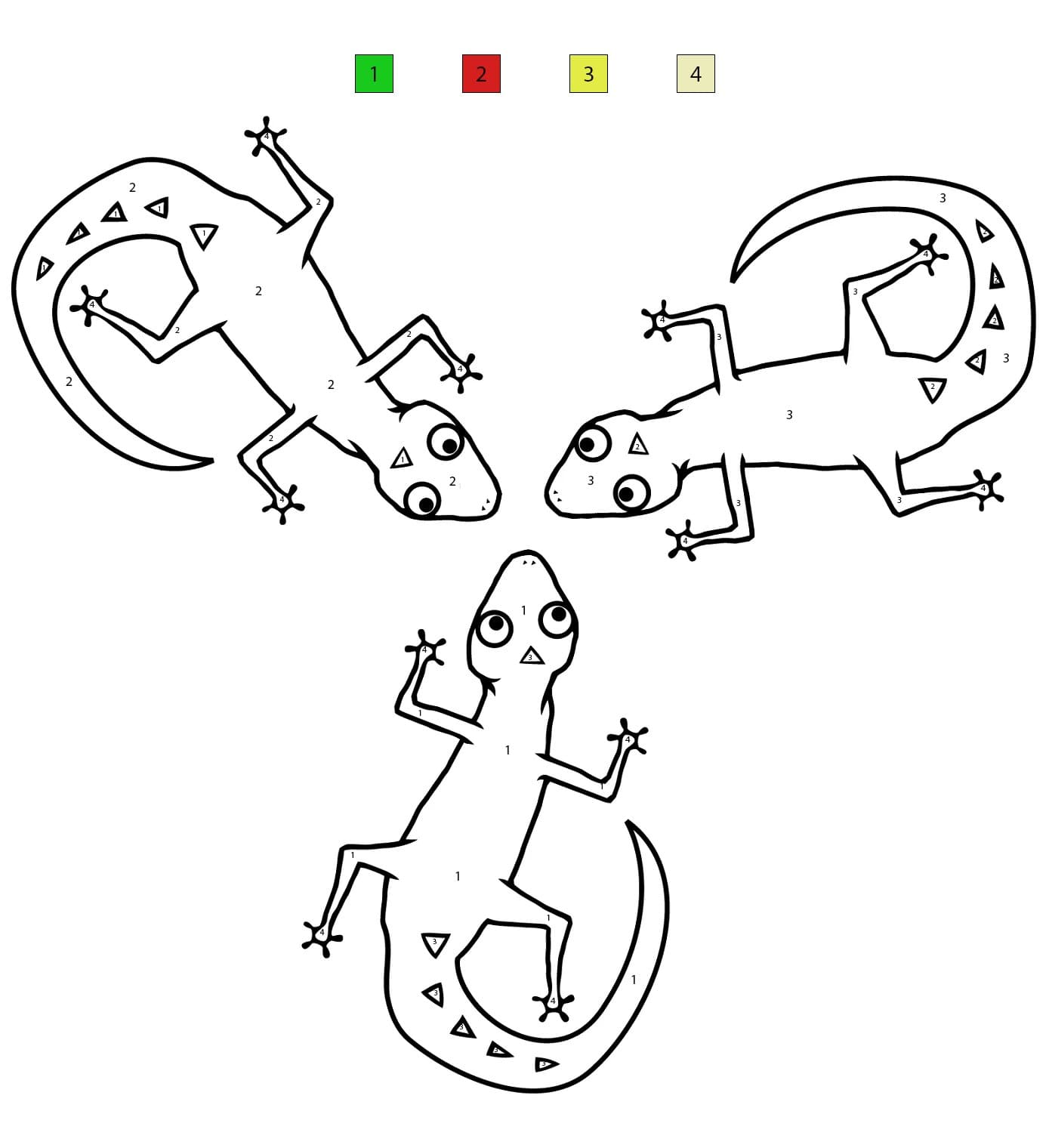 Lizard Printe Color By Number