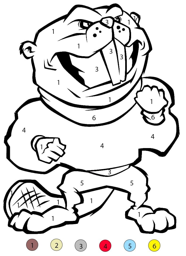 Beaver Angry Color By Number