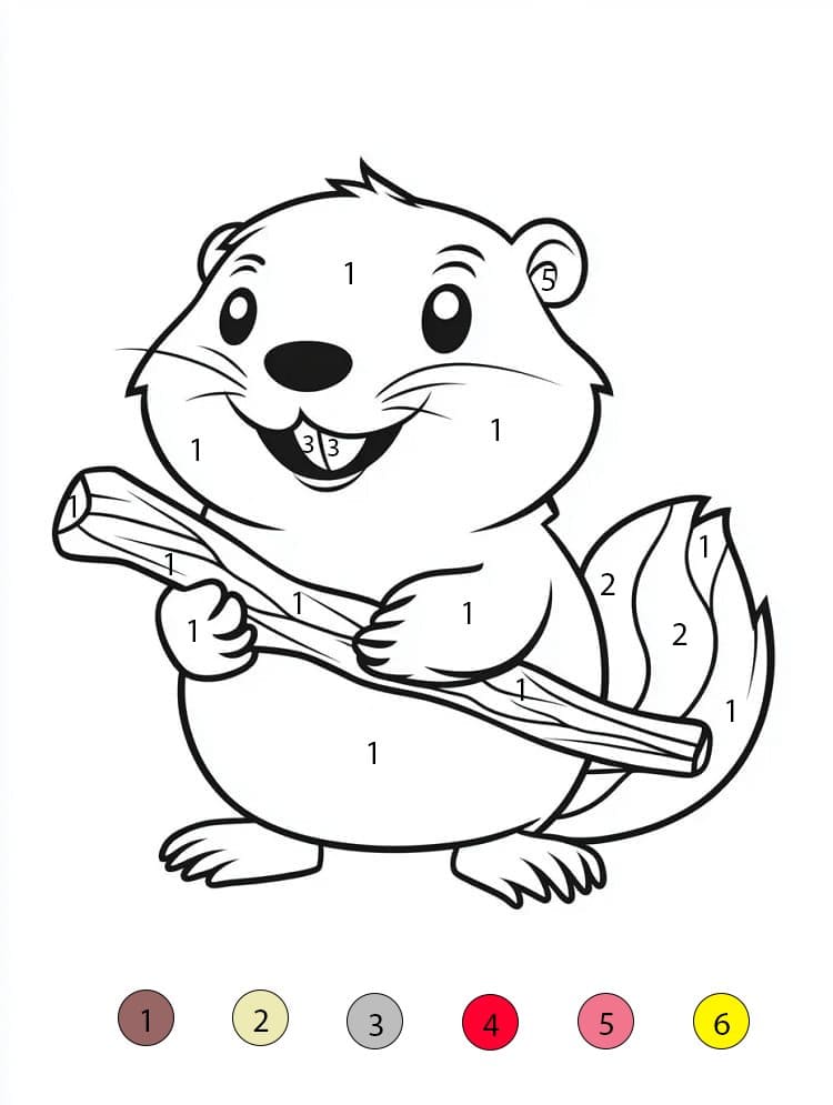 Beaver Cute Color By Number