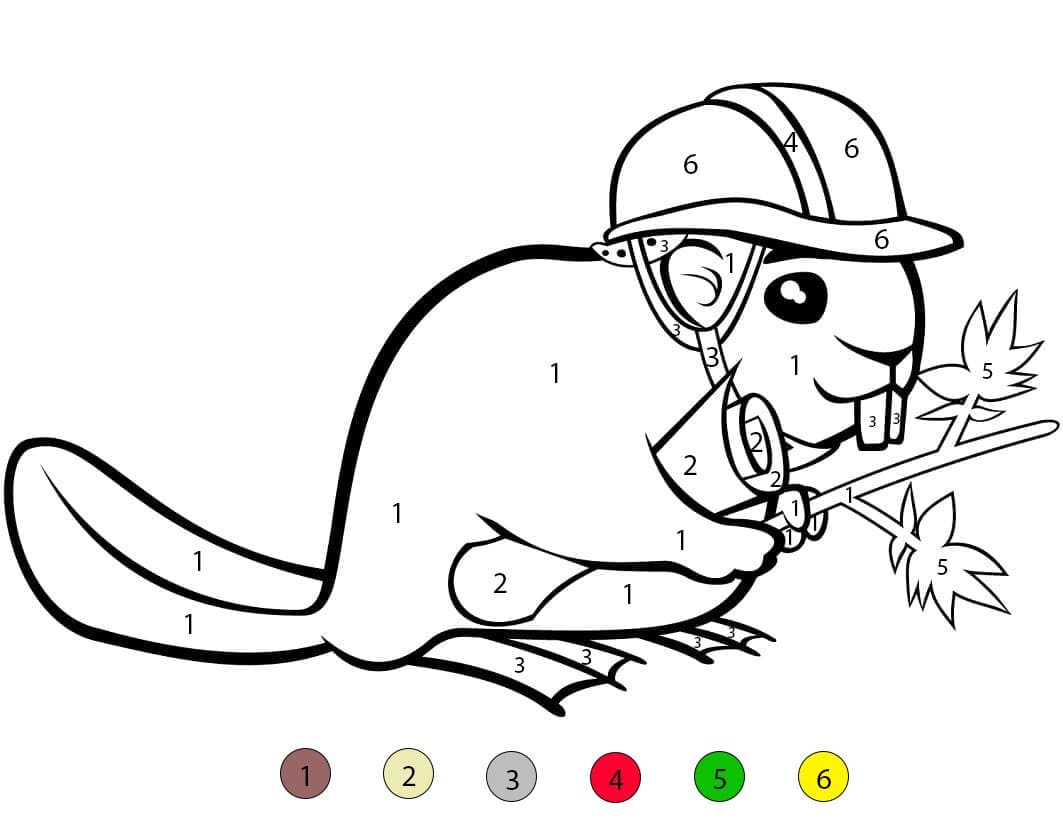 Beaver Hard Color By Number