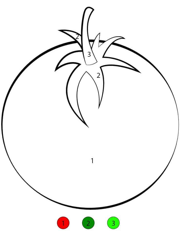 Normal Tomato Color By Number