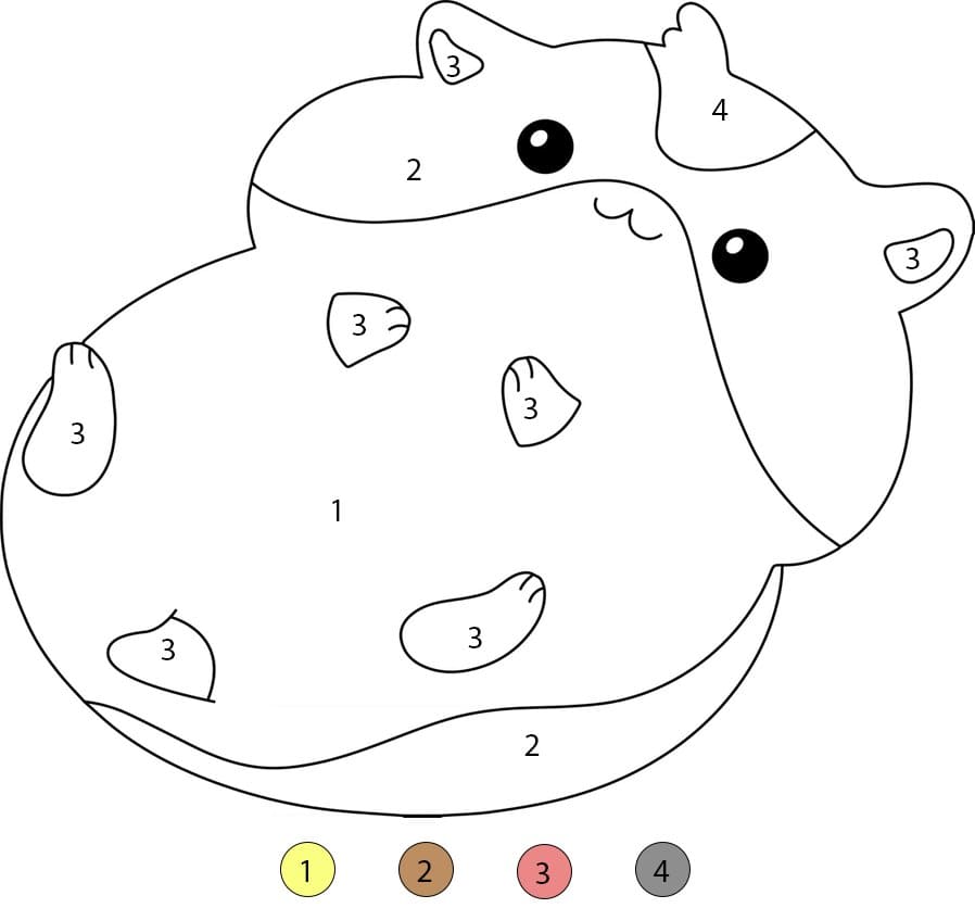 Adorable Hamster Color By Number