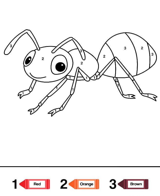 Ant Free Design Color By Number