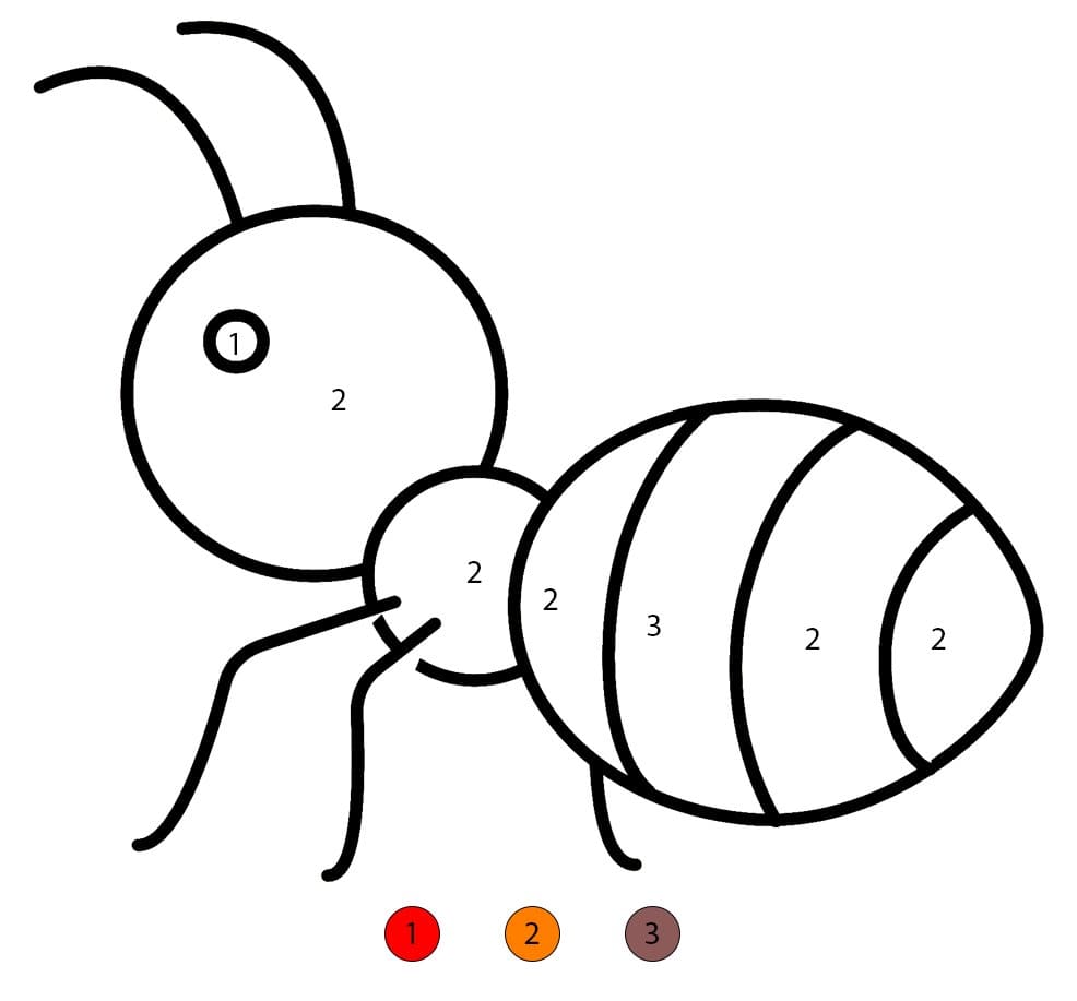 Basic Ant Color By Number