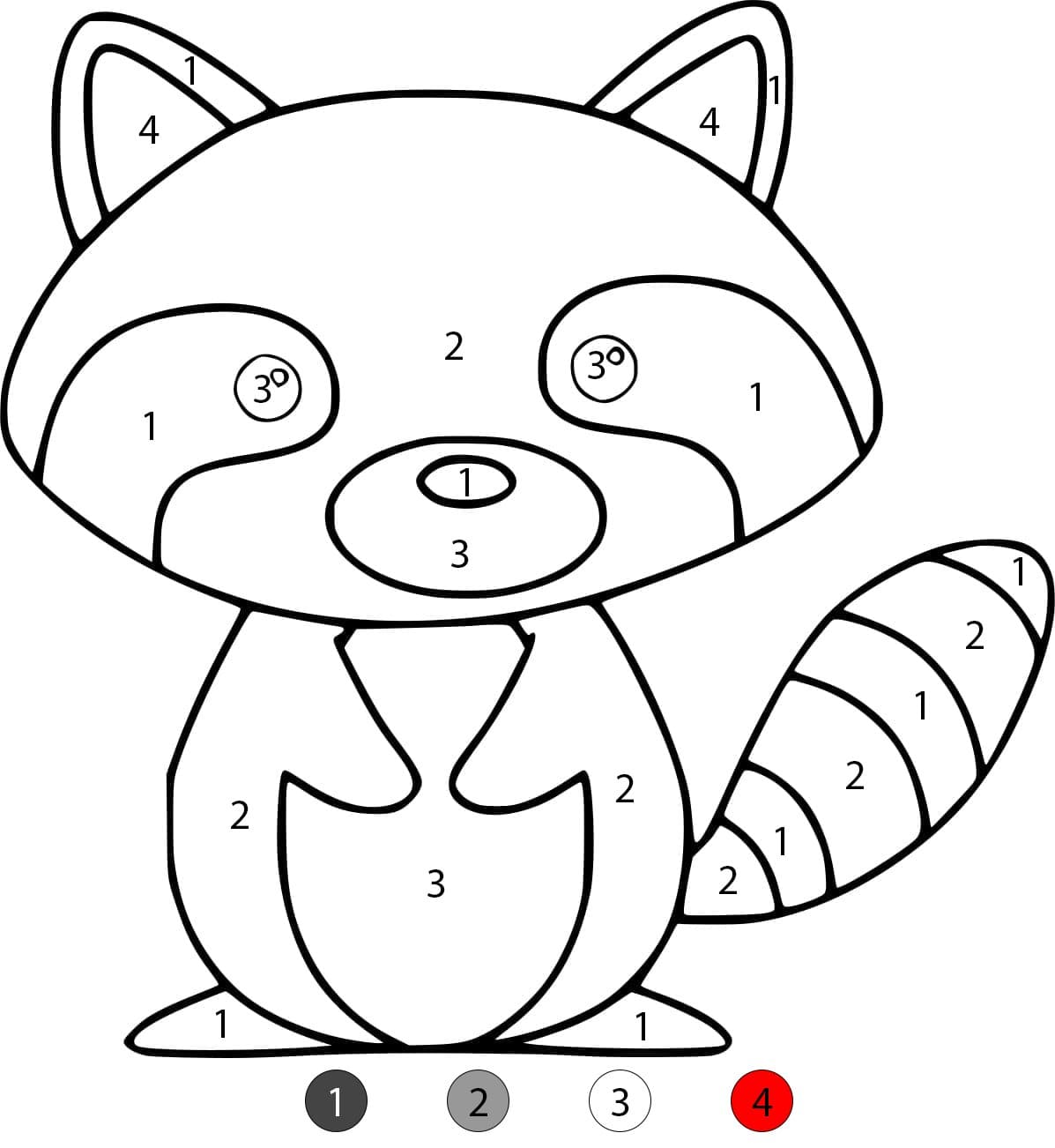 Cute Raccoon Color By Number