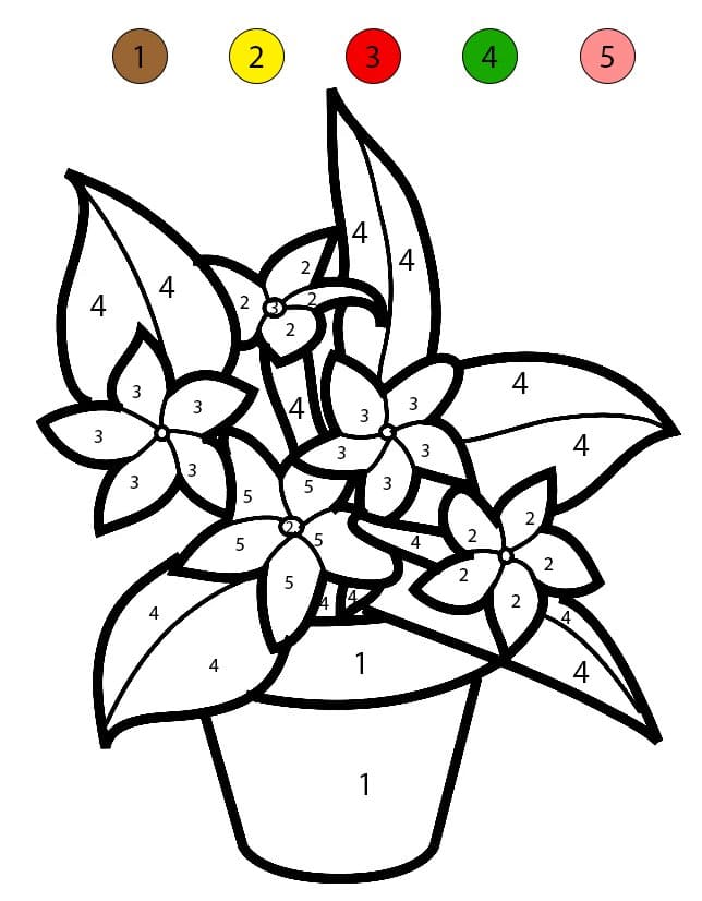 Flowers Pot Draw Color By Number