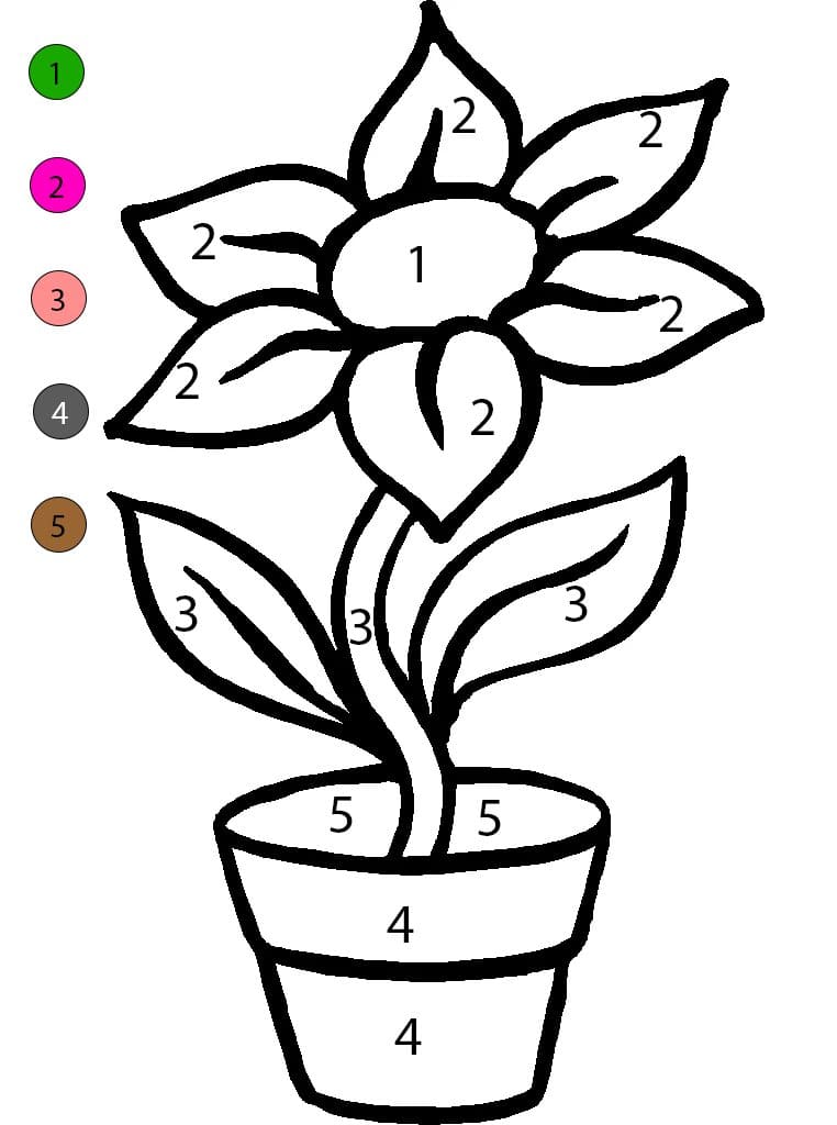 Flowers Pot Free Image Color By Number