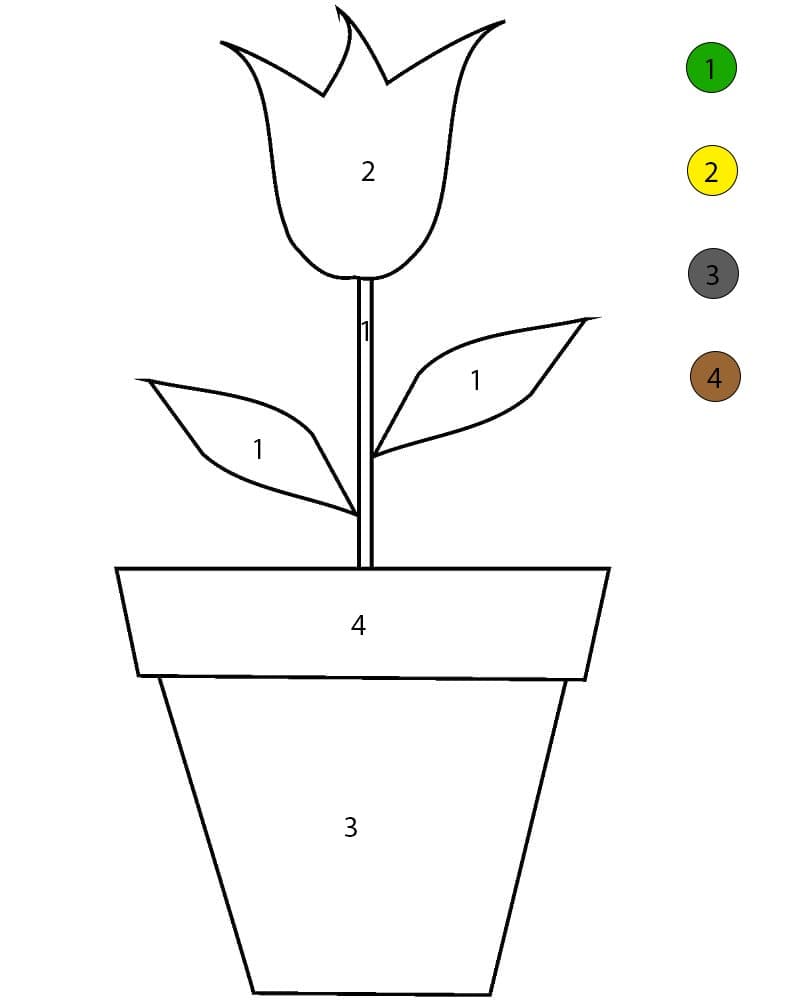 Flowers Pot Normal Color By Number