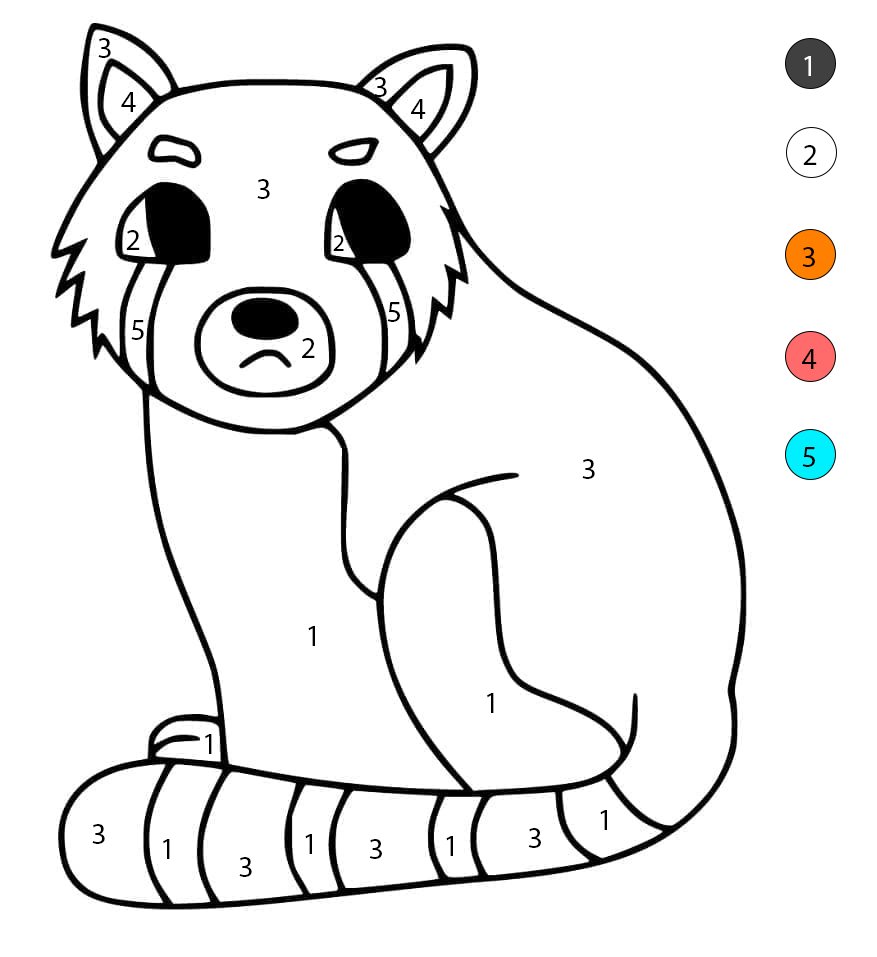 Free Drawing of Red Panda Color By Number