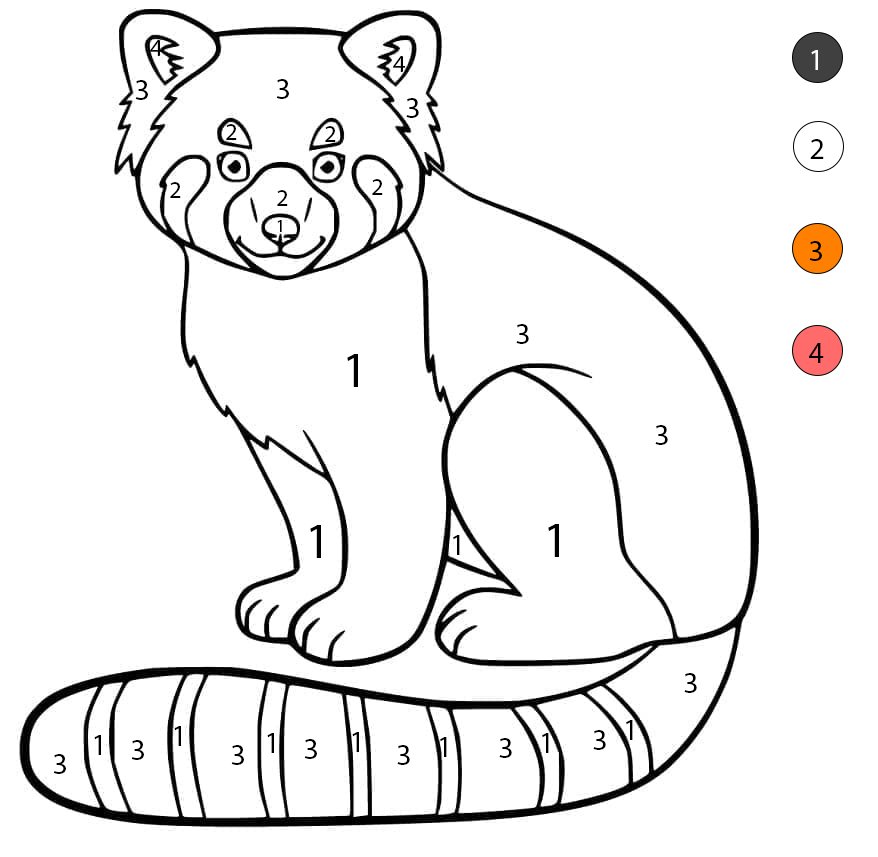 Red Panda Color By Number