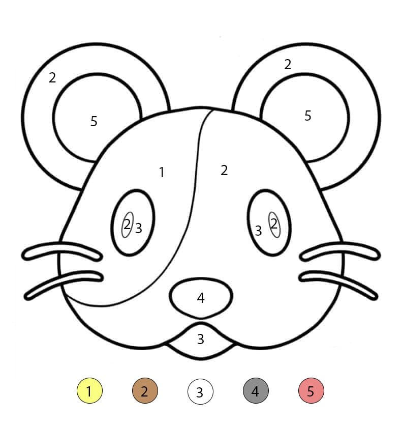 Hamster Face Color By Number