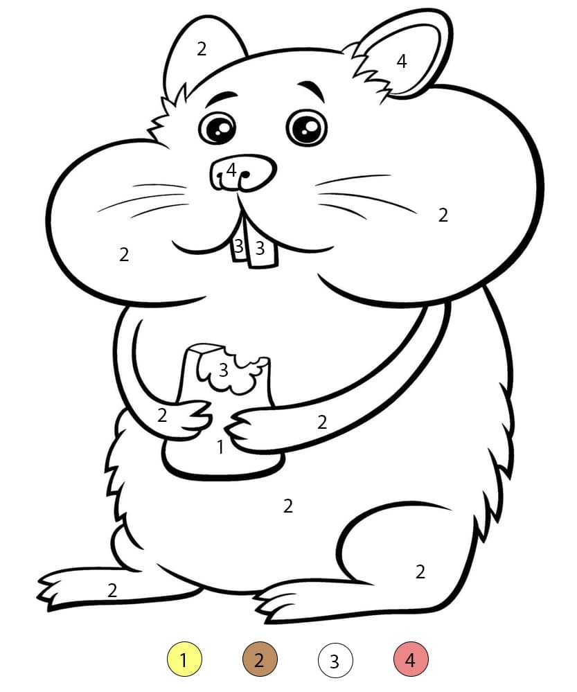 Hamster Holding Food Color By Number