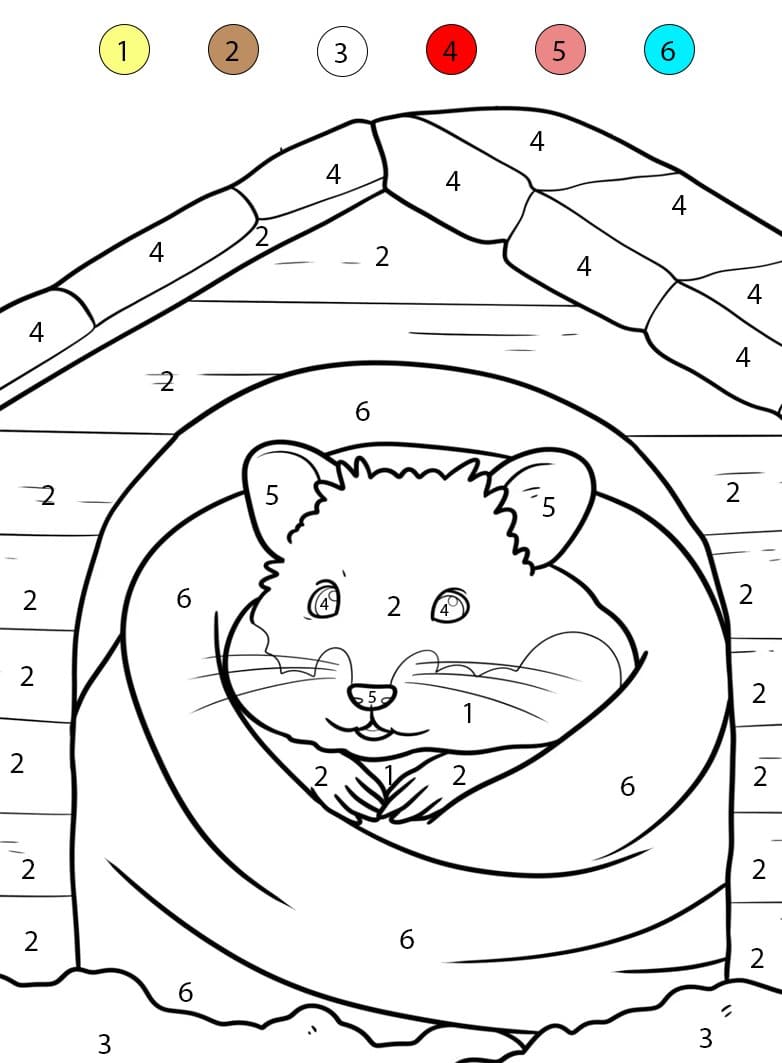 Hamster Print Color By Number