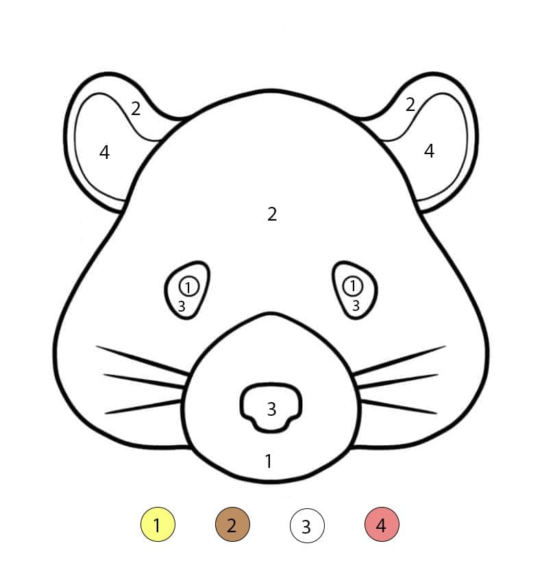 Kawaii Hamster Face Color By Number