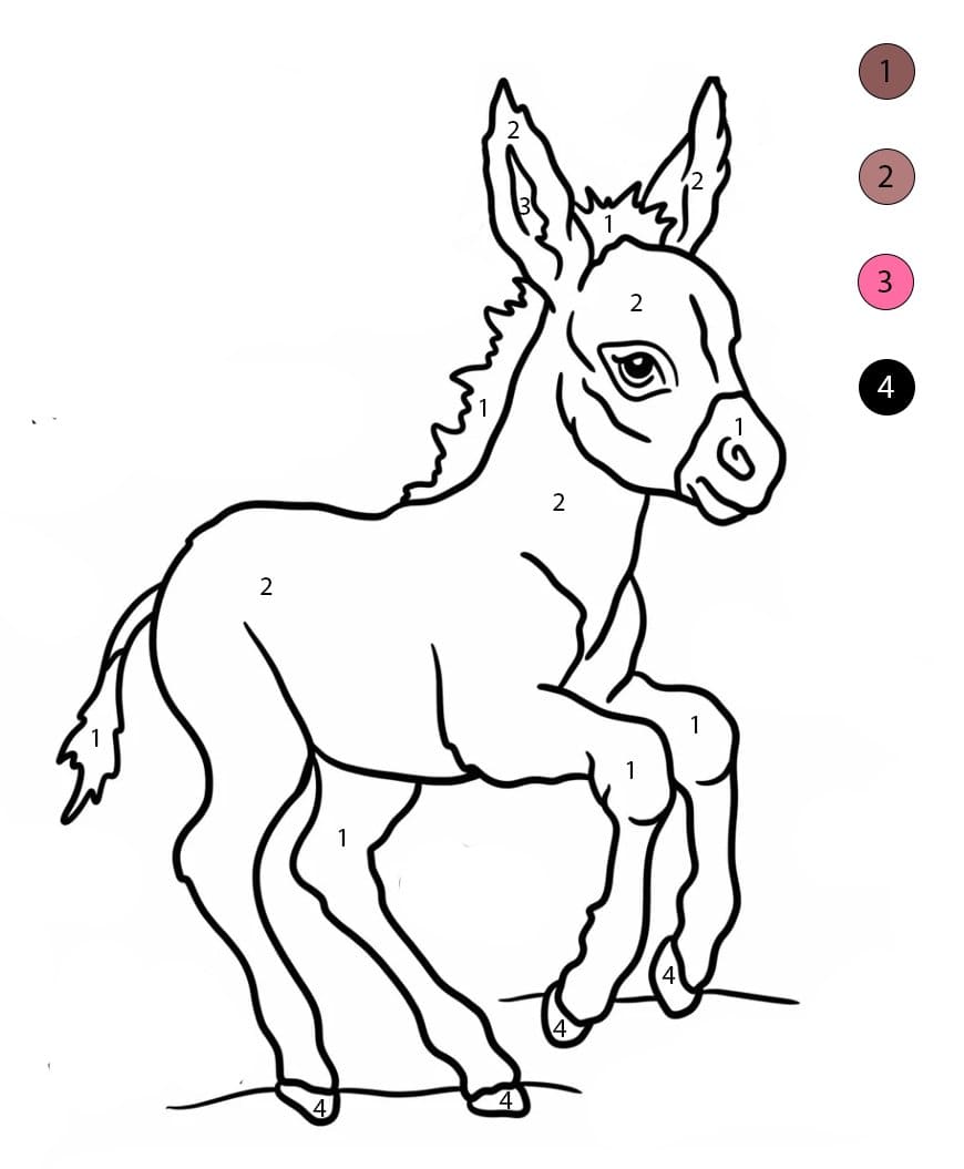 Playful Baby Donkey Color By Number