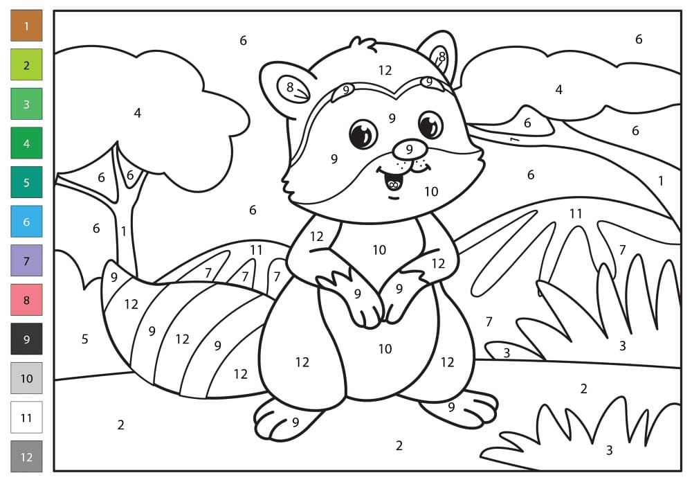 Raccoon Animals Color By Number