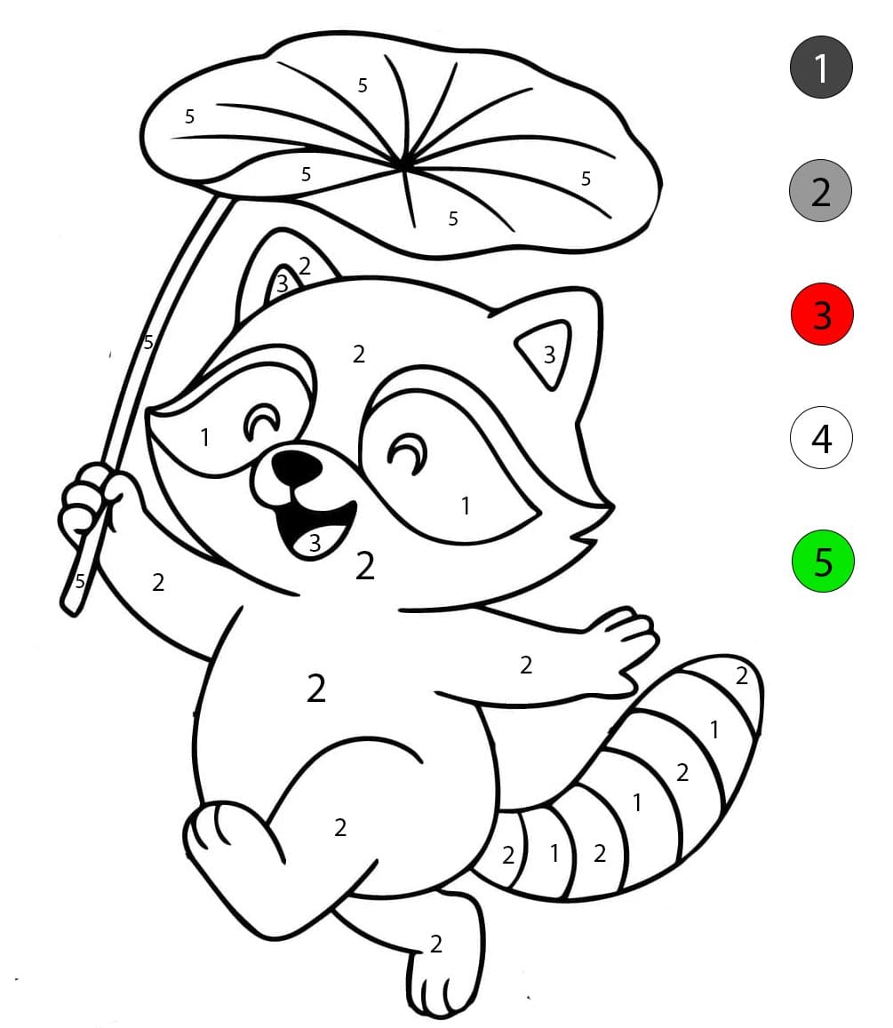 Raccoon Color By Number