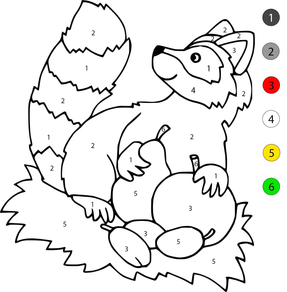 Raccoon and Fruits Color By Number