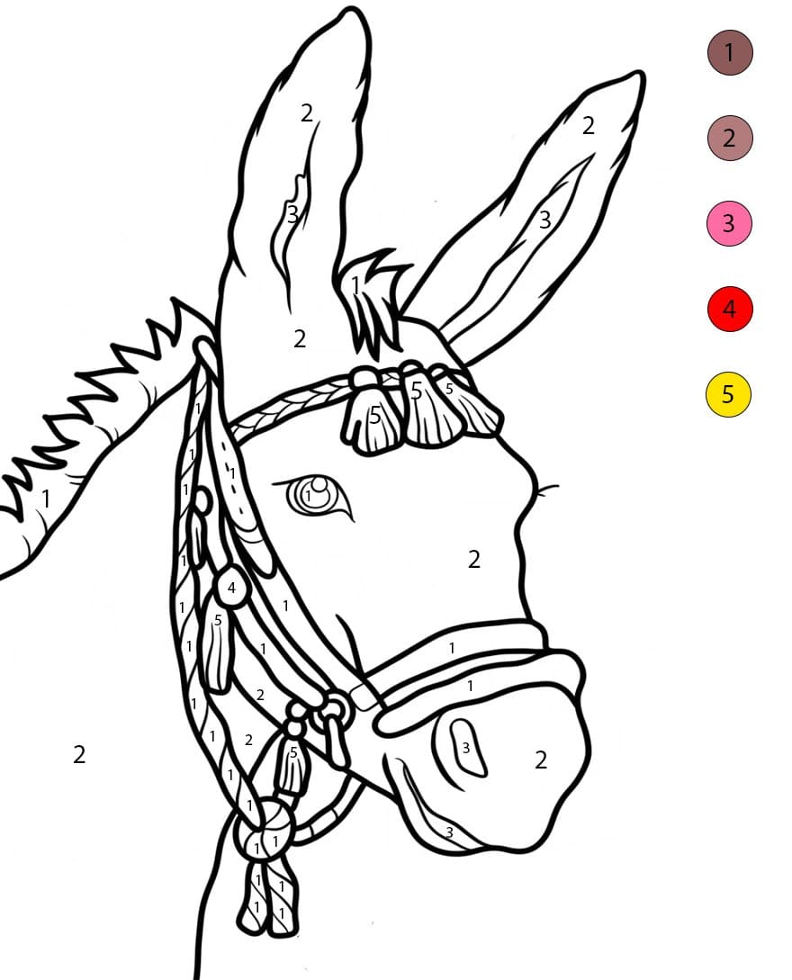 Donkey Color By Number