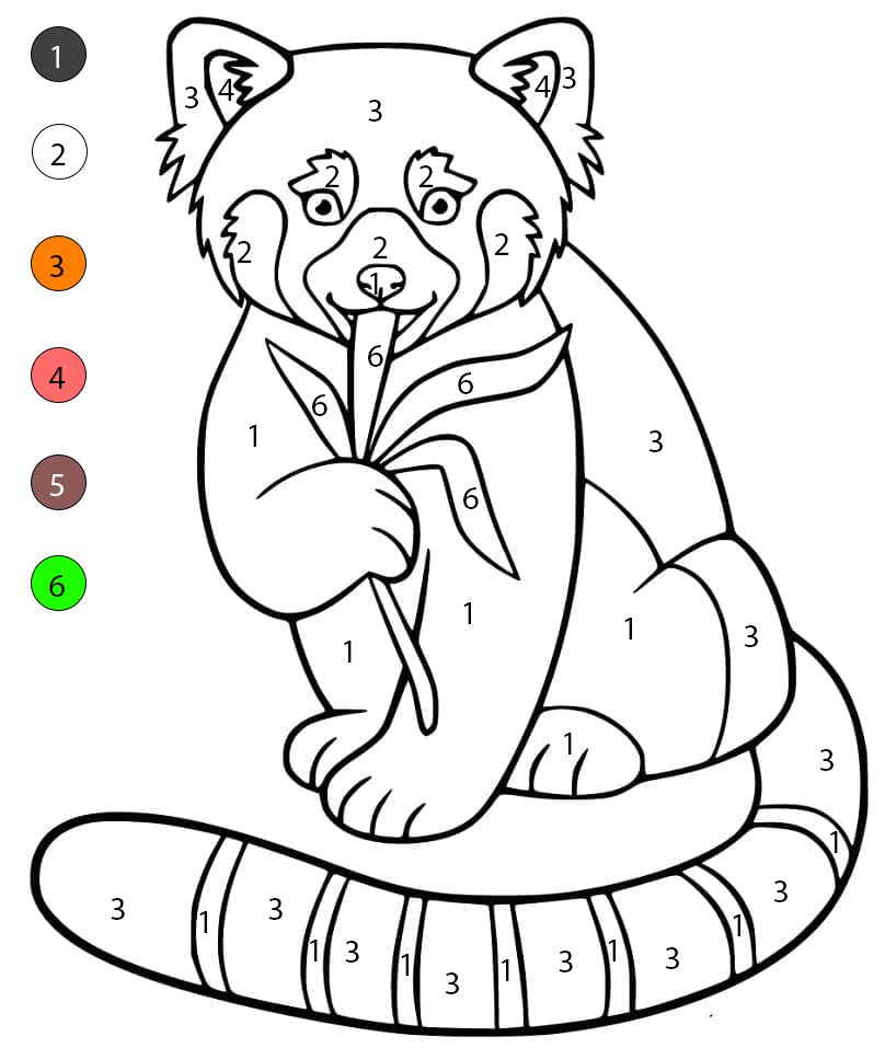 Red Panda Eating Leaves Color By Number