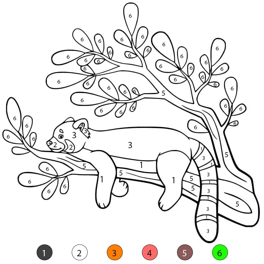 Red Panda For Free Color By Number