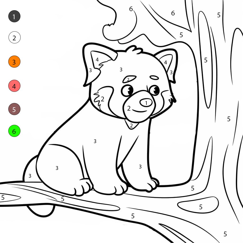 Red Panda in The Tree Color By Number