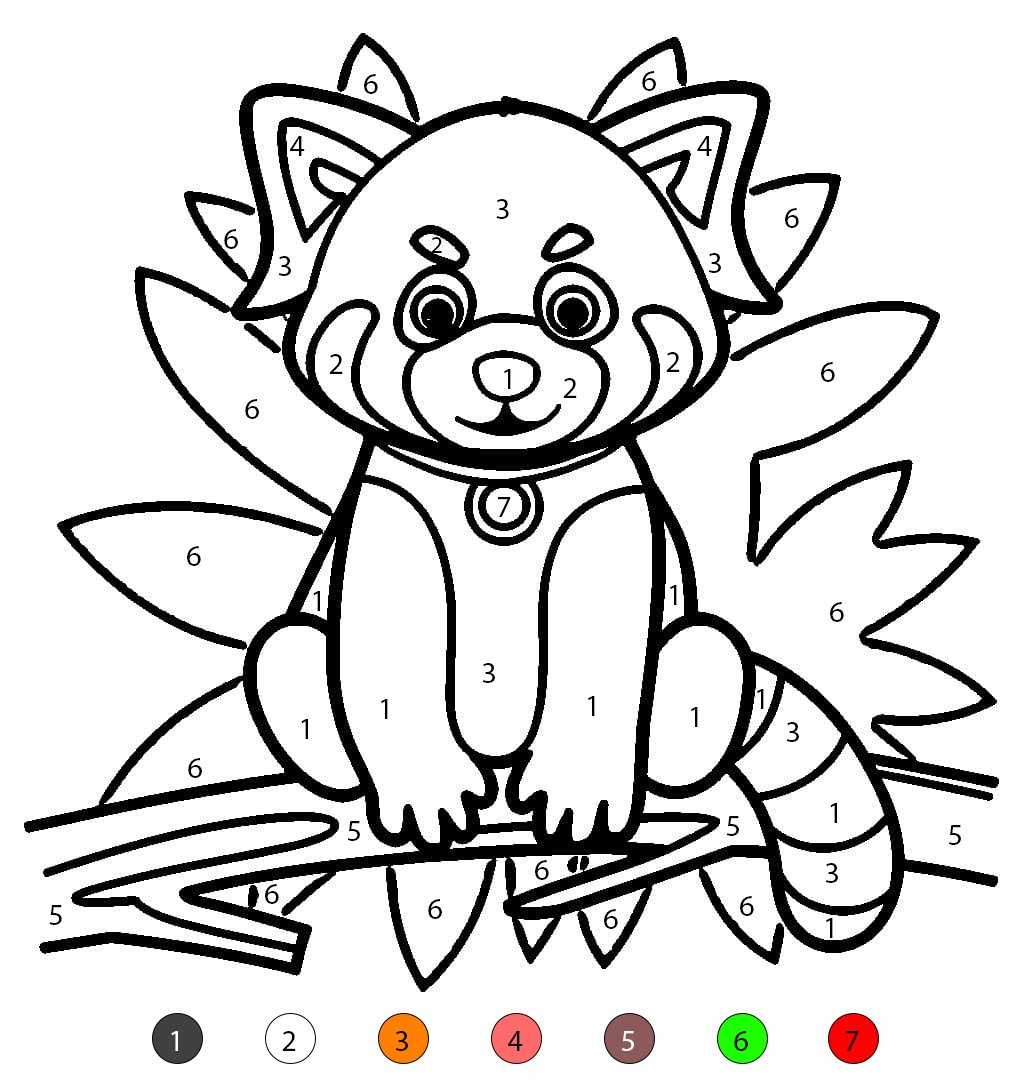Red Panda on a Branch Color By Number