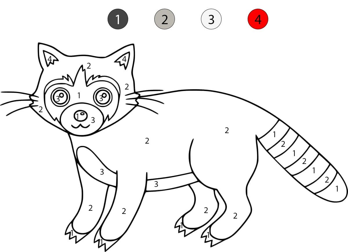 Simple Raccoon Color By Number