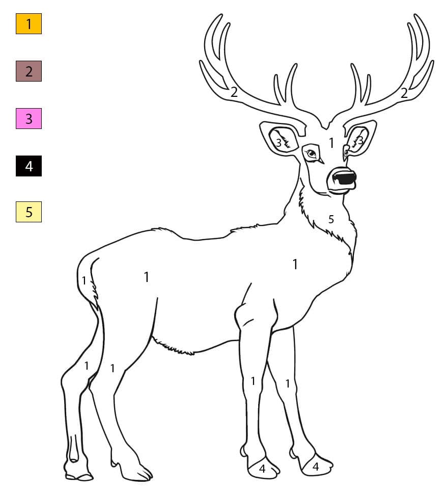 Deer Free Printable Color By Number