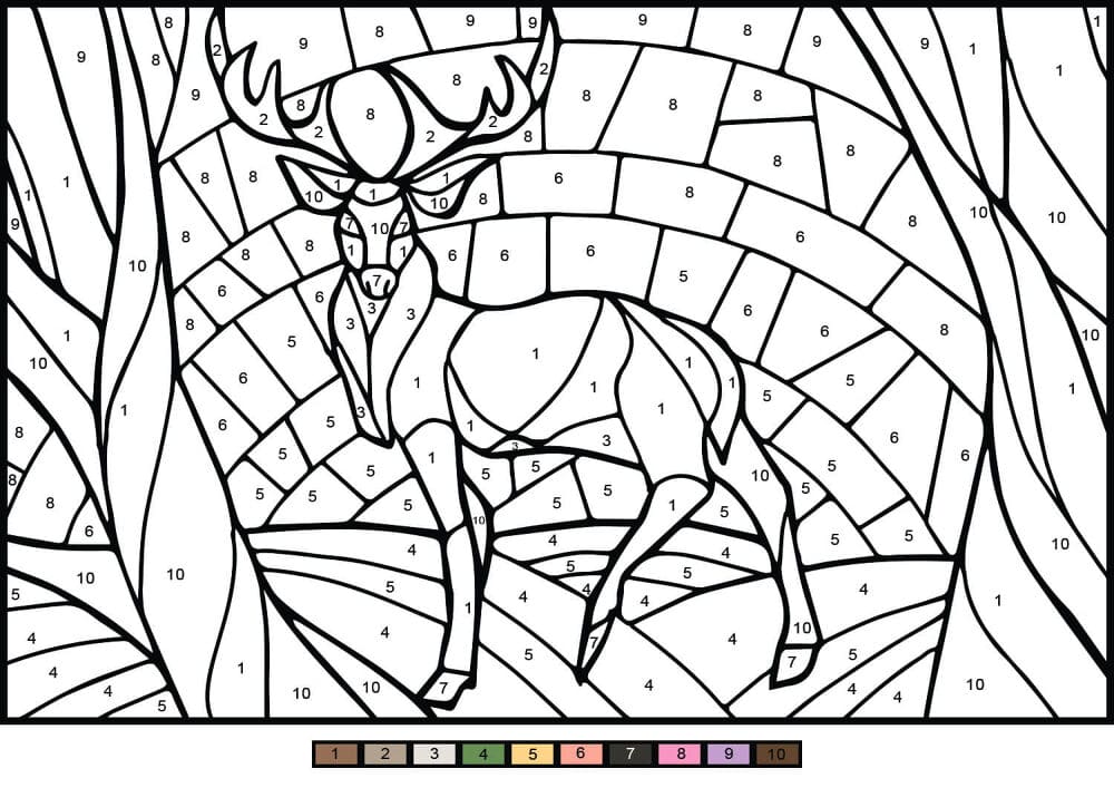 Deer Printable Color By Number