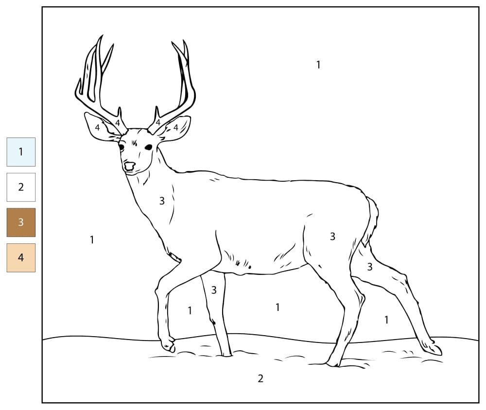 Deer Walking Color By Number