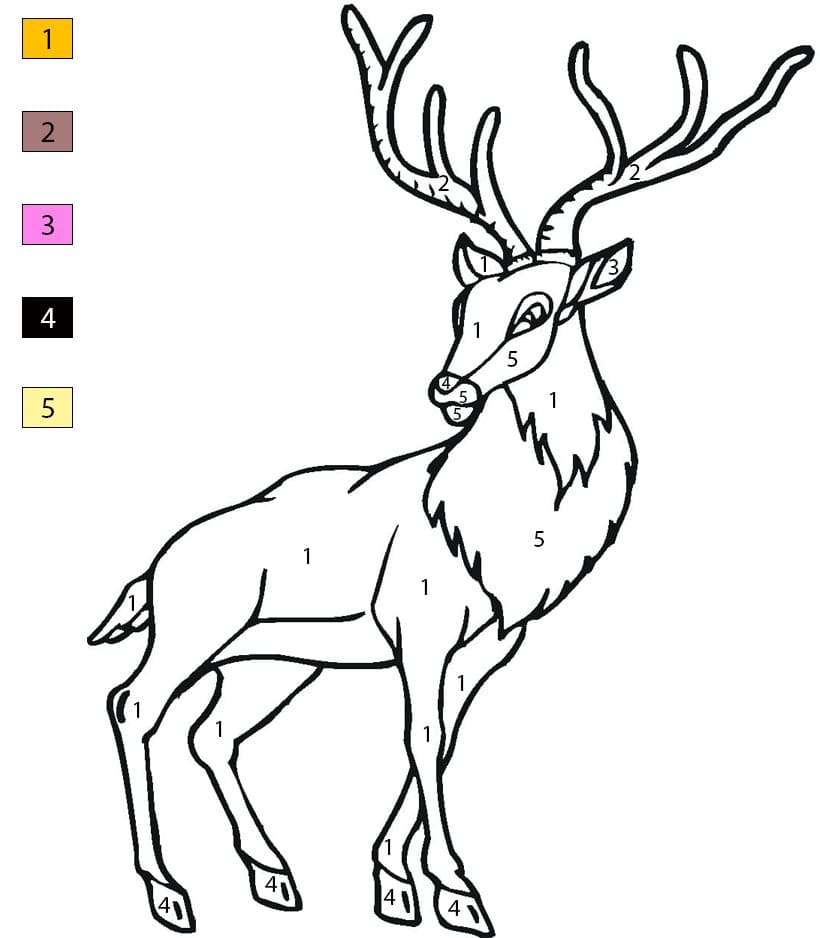 Deer for Kids Color By Number