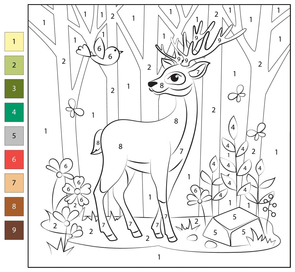 Deer in Forest Color By Number