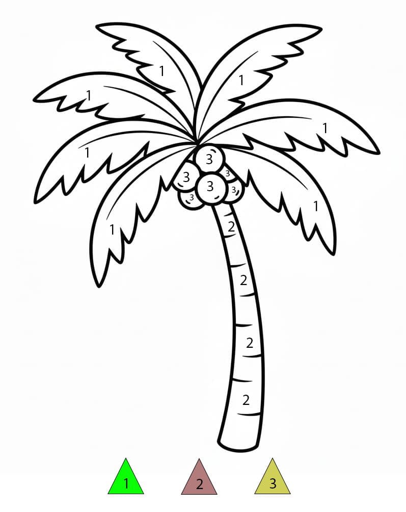 Draw Palm Tree Color By Number