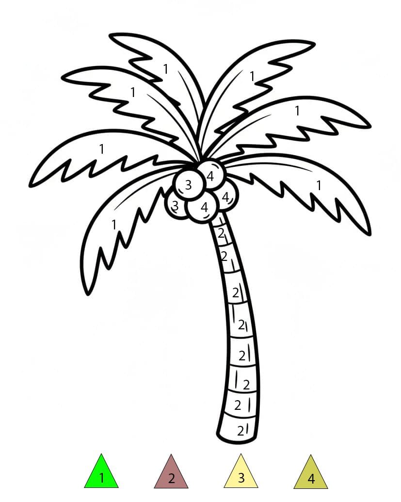 Palm Tree Image Color By Number