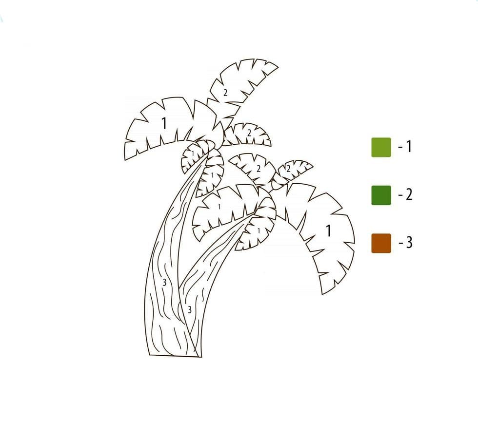 Palm Tree Print Color By Number